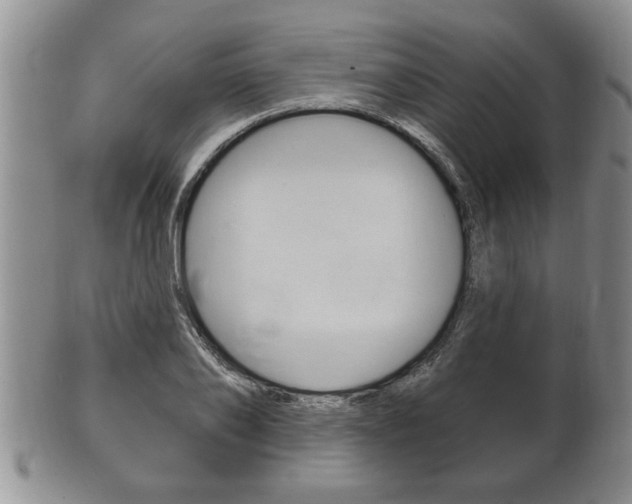 X0000102500886200808080942