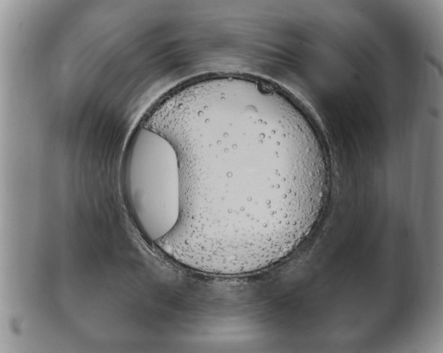X0000102500887200808080942