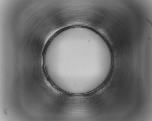 X0000102500888200808080942