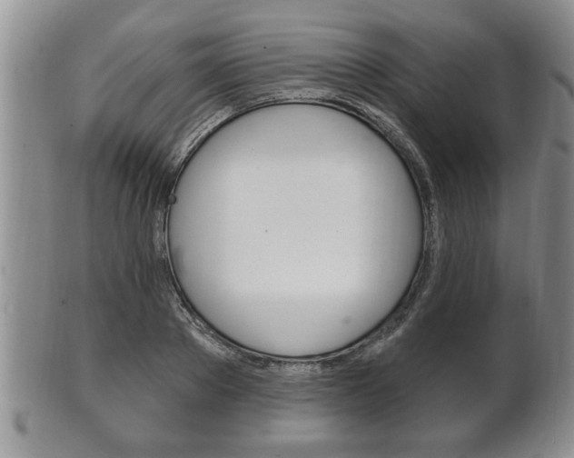 X0000102500889200808080942
