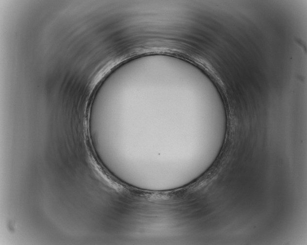 X0000102500890200808080942