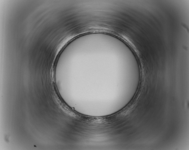 X0000102500891200808080942