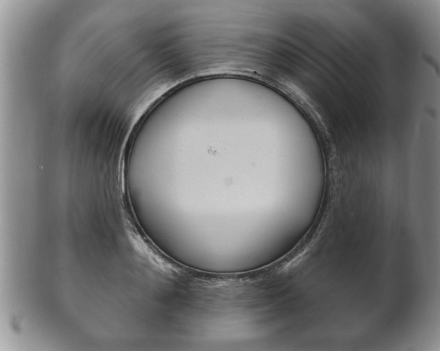 X0000102500892200808080942
