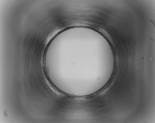 X0000102500893200808080942