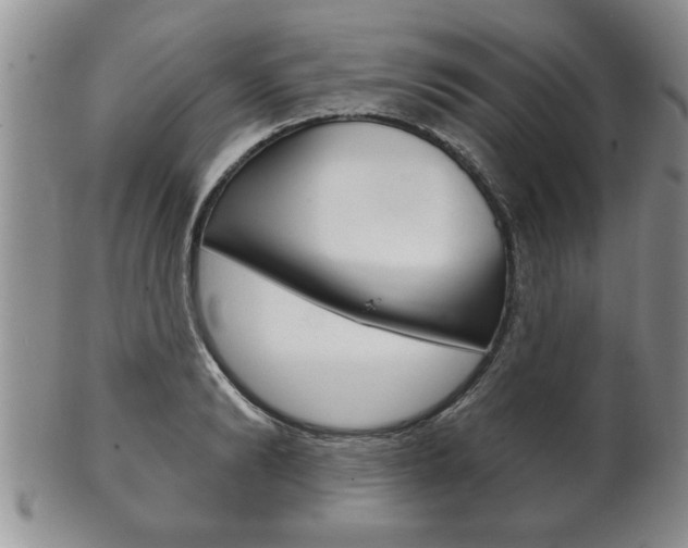 X0000102500894200808080942