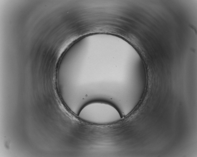 X0000102500896200808080942