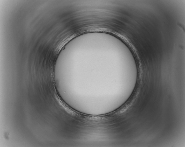 X0000102500897200808080942