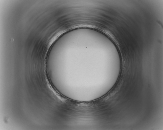 X0000102500898200808080942