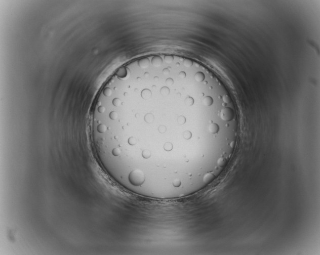 X0000102500899200808080942