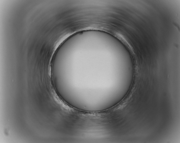 X0000102500900200808080942
