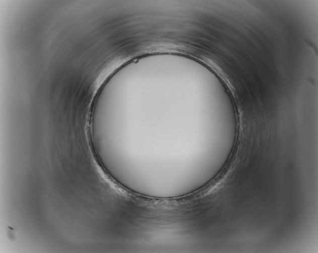 X0000102500901200808080942