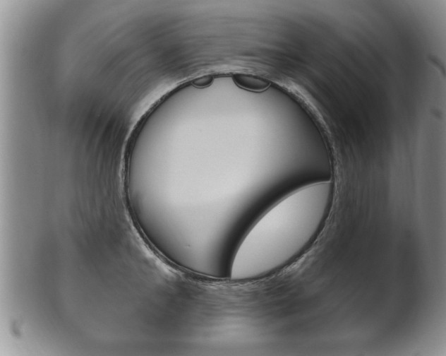 X0000102500902200808080942