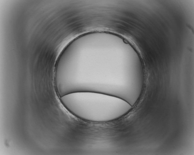 X0000102500903200808080942
