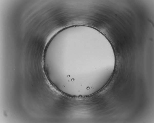 X0000102500904200808080942