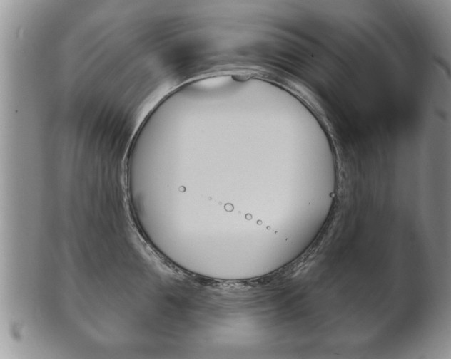 X0000102500907200808080942