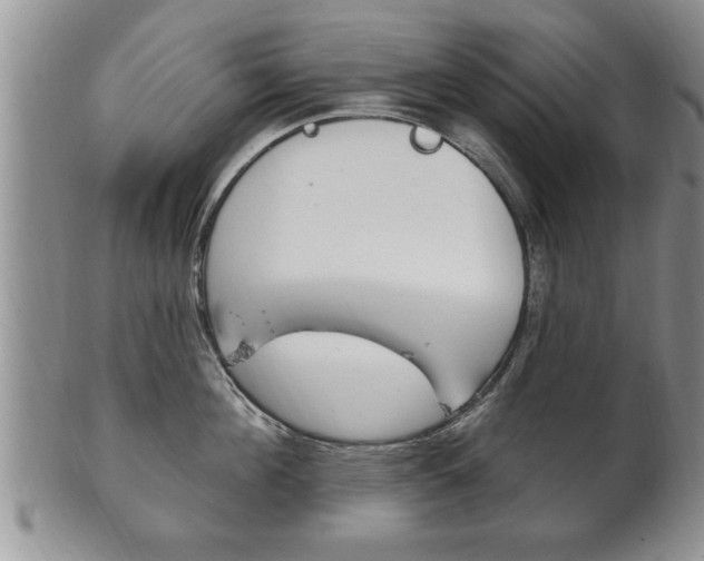 X0000102500908200808080942