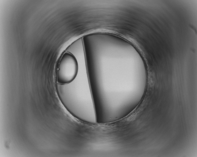 X0000102500910200808080942