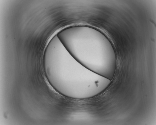 X0000102500911200808080942