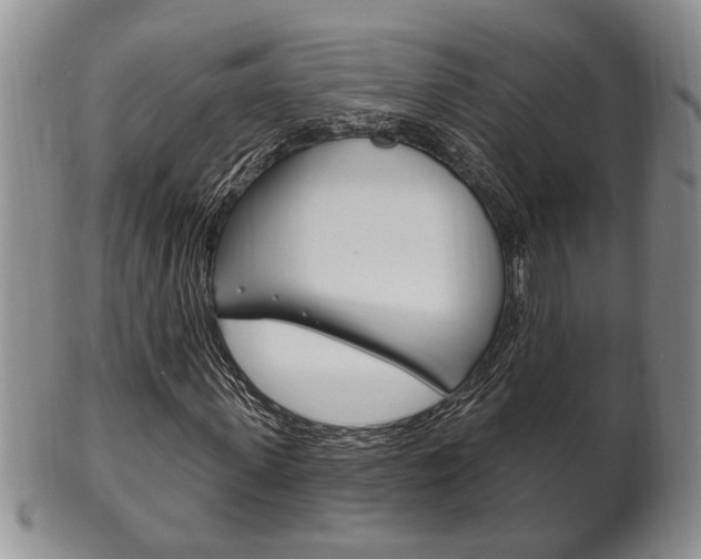 X0000102500915200808080941