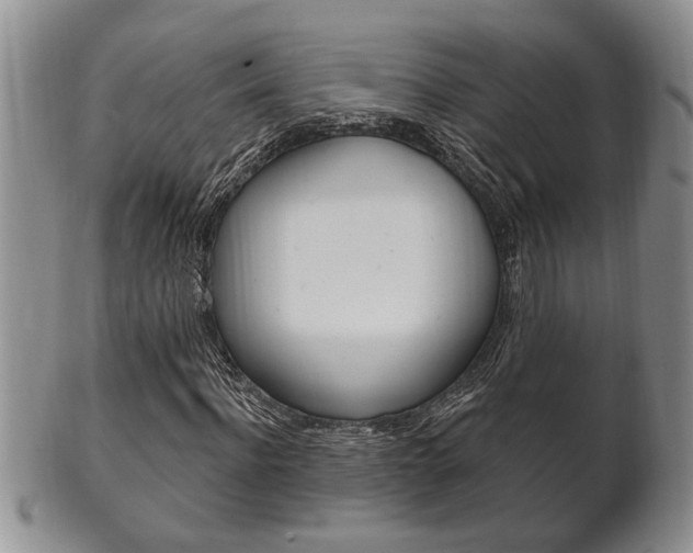 X0000102500916200808080941