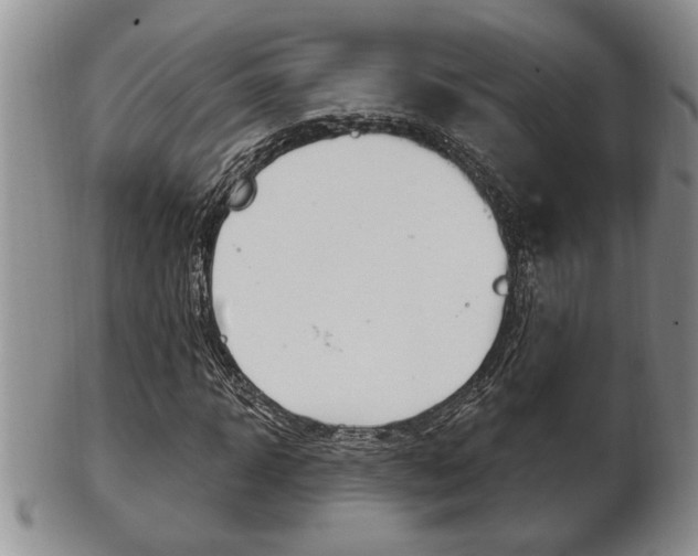 X0000102500918200808080941
