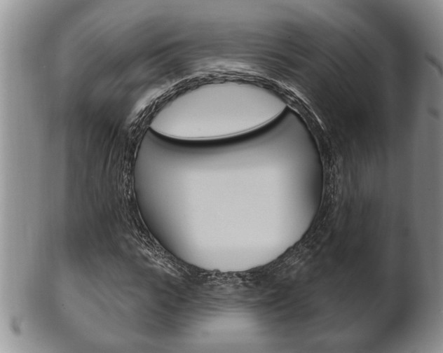 X0000102500919200808080941