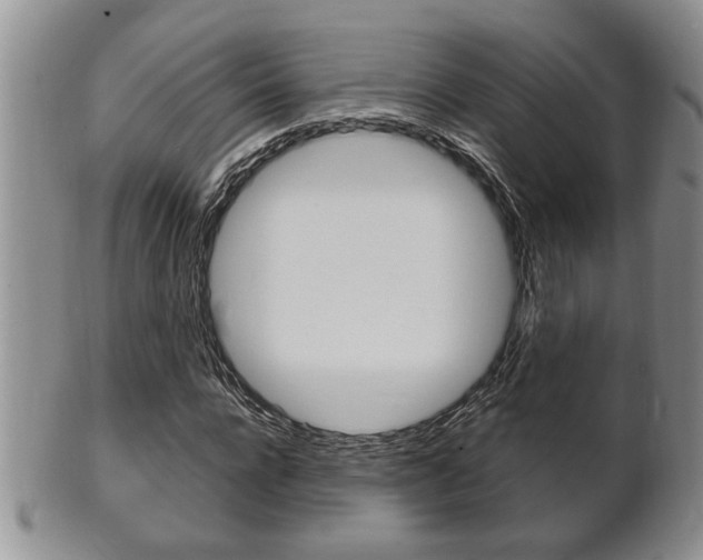 X0000102500920200808080941