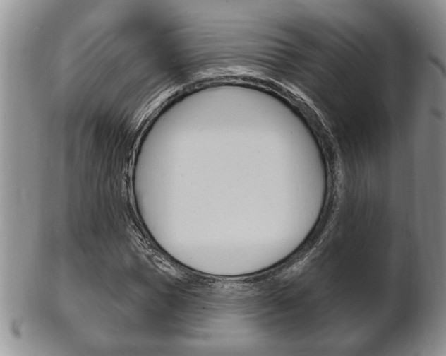 X0000102500921200808080941