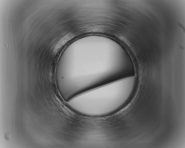 X0000102500922200808080941
