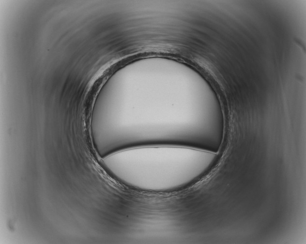 X0000102500923200808080941