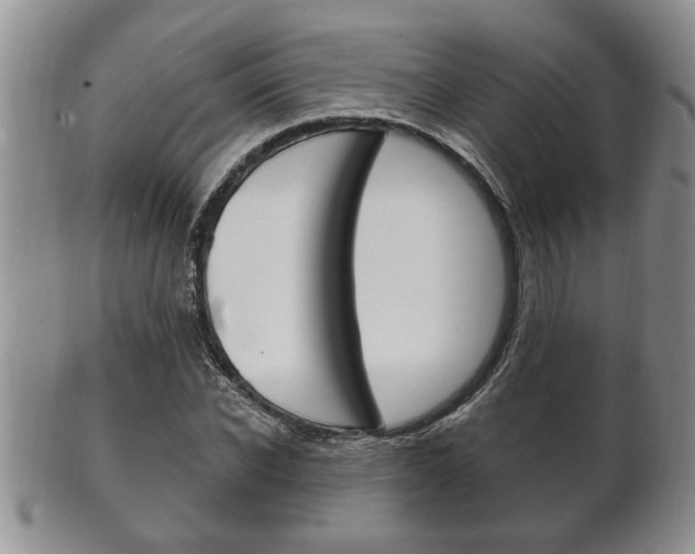 X0000102500926200808080941