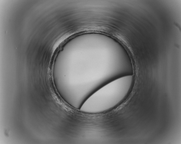 X0000102500928200808080941