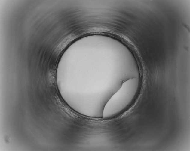 X0000102500929200808080941
