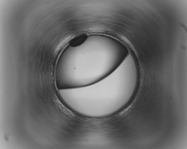 X0000102500930200808080941