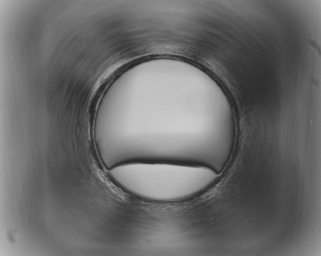X0000102500931200808080941