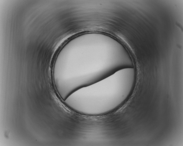 X0000102500932200808080941