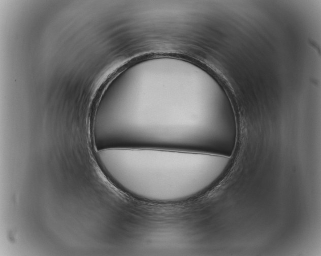X0000102500935200808080941