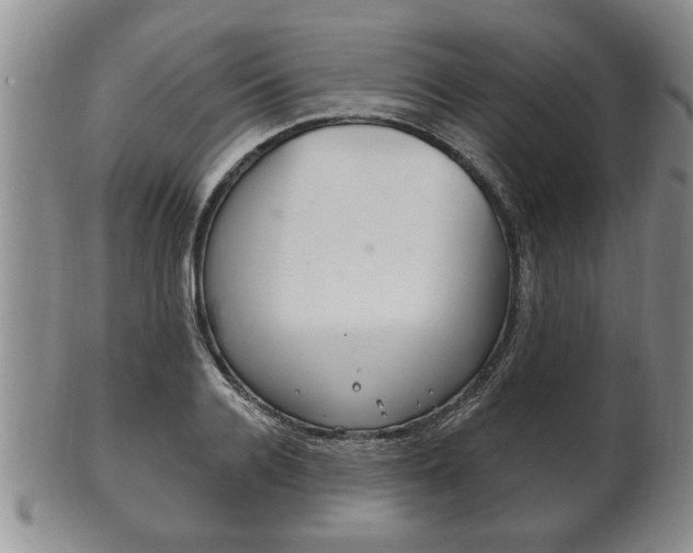 X0000102500936200808080941