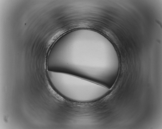 X0000102500938200808080942