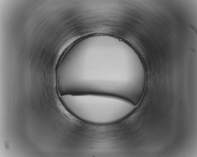 X0000102500939200808080942
