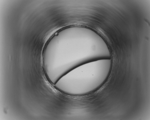 X0000102500940200808080942
