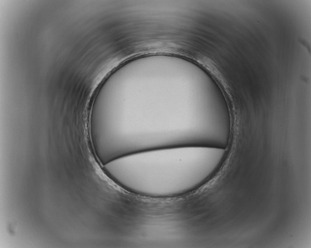X0000102500941200808080942