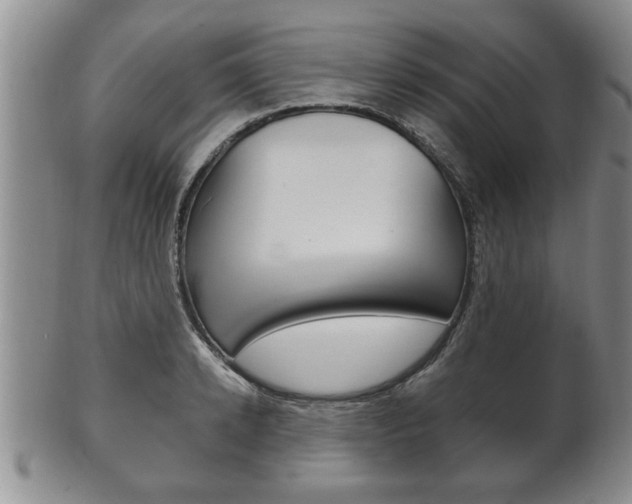X0000102500942200808080942