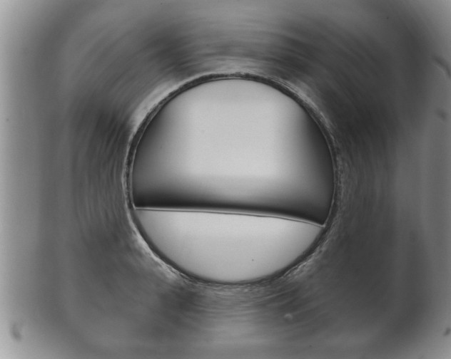 X0000102500943200808080942