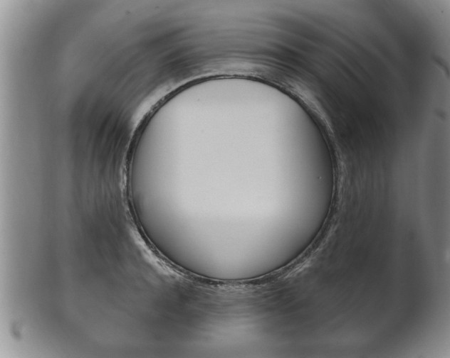 X0000102500944200808080942