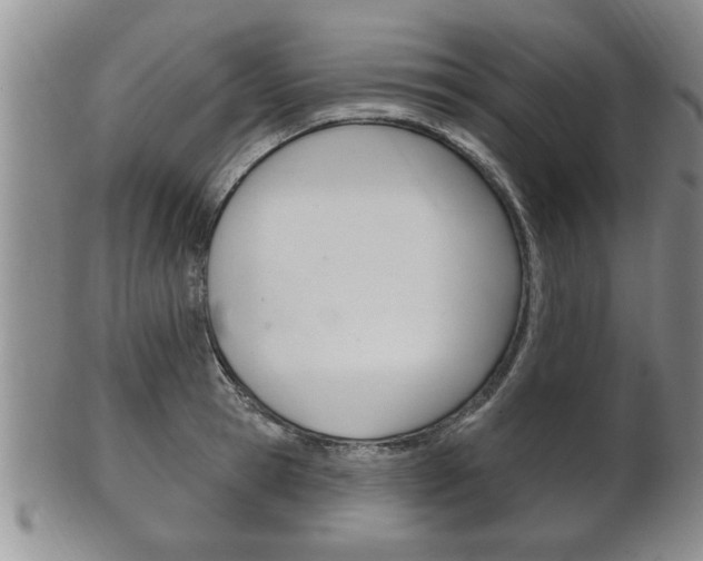 X0000102500945200808080942
