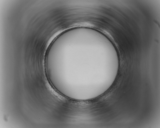 X0000102500947200808080942