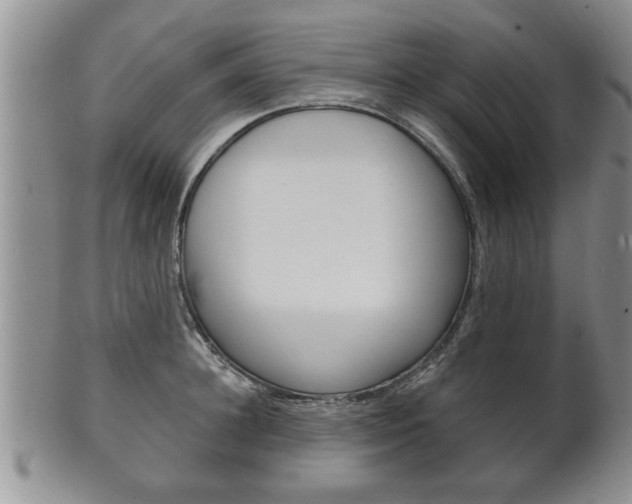 X0000102500948200808080942
