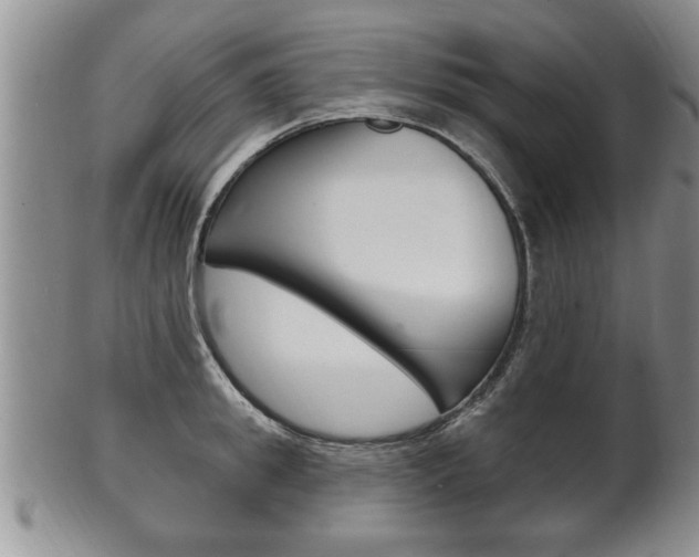 X0000102500949200808080942