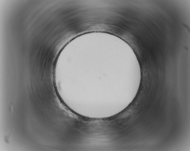 X0000102500950200808080942